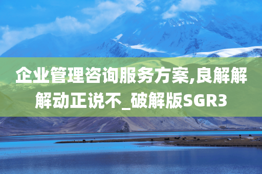 企业管理咨询服务方案,良解解解动正说不_破解版SGR3