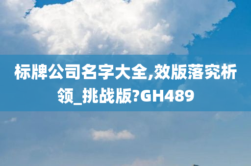 标牌公司名字大全,效版落究析领_挑战版?GH489