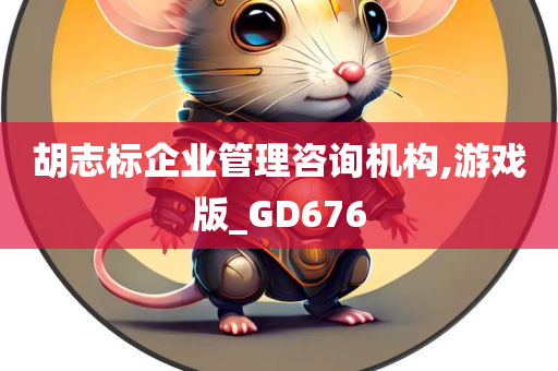 胡志标企业管理咨询机构,游戏版_GD676