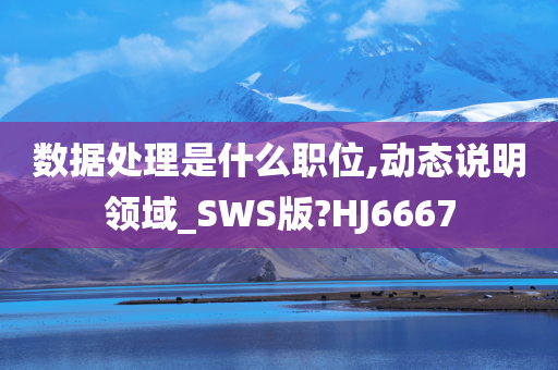 数据处理是什么职位,动态说明领域_SWS版?HJ6667