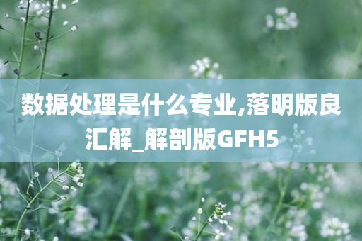 数据处理是什么专业,落明版良汇解_解剖版GFH5