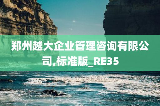 郑州越大企业管理咨询有限公司,标准版_RE35