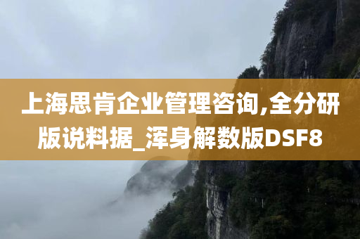 上海思肯企业管理咨询,全分研版说料据_浑身解数版DSF8