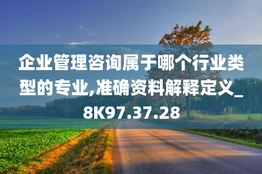 企业管理咨询属于哪个行业类型的专业,准确资料解释定义_8K97.37.28