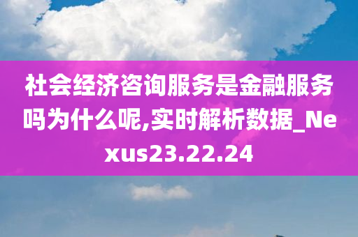 社会经济咨询服务是金融服务吗为什么呢,实时解析数据_Nexus23.22.24