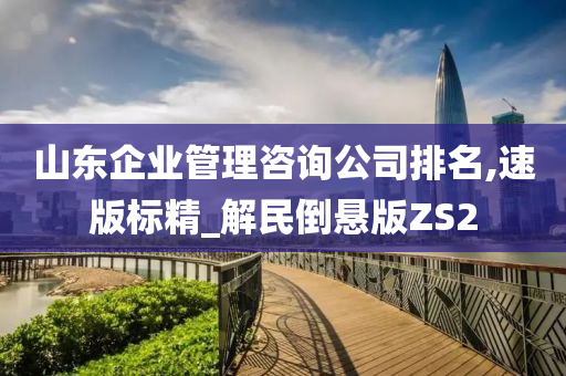 山东企业管理咨询公司排名,速版标精_解民倒悬版ZS2