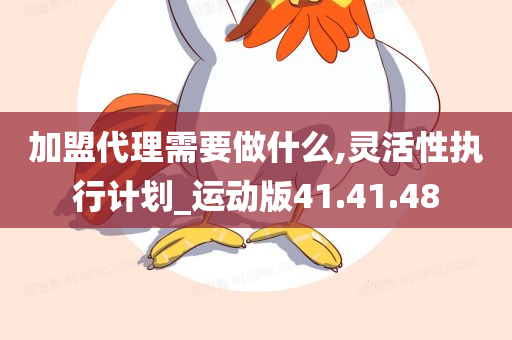 加盟代理需要做什么,灵活性执行计划_运动版41.41.48