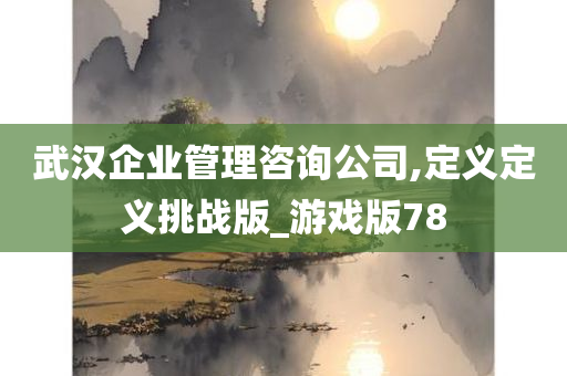 武汉企业管理咨询公司,定义定义挑战版_游戏版78