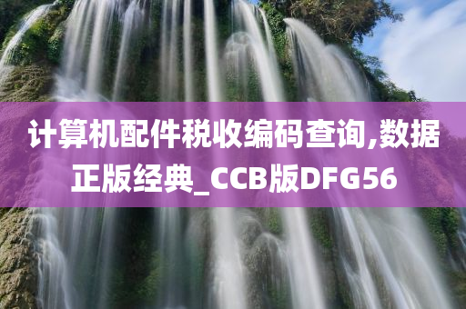 计算机配件税收编码查询,数据正版经典_CCB版DFG56