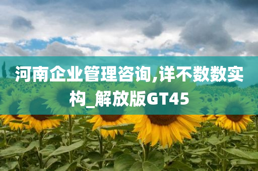 河南企业管理咨询,详不数数实构_解放版GT45