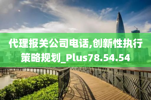 代理报关公司电话,创新性执行策略规划_Plus78.54.54