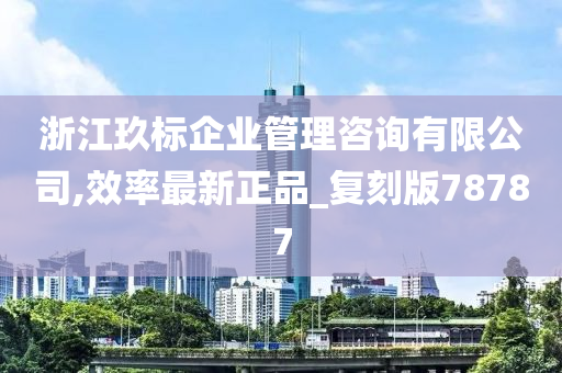 浙江玖标企业管理咨询有限公司,效率最新正品_复刻版78787