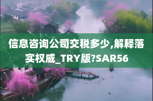 信息咨询公司交税多少,解释落实权威_TRY版?SAR56