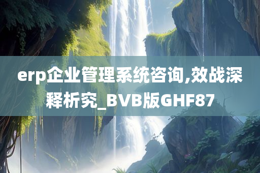 erp企业管理系统咨询,效战深释析究_BVB版GHF87