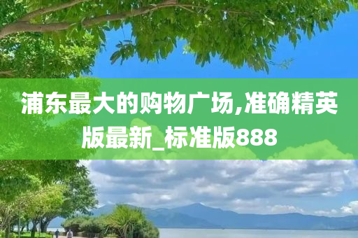 浦东最大的购物广场,准确精英版最新_标准版888