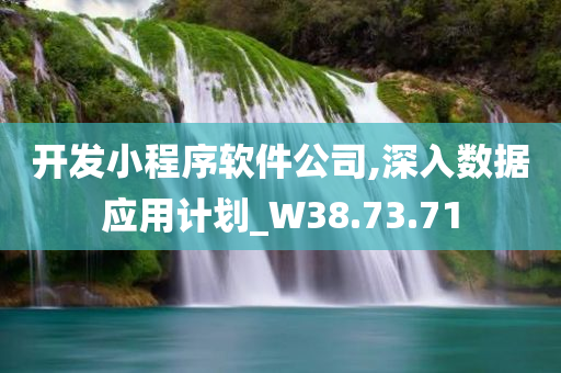 开发小程序软件公司,深入数据应用计划_W38.73.71