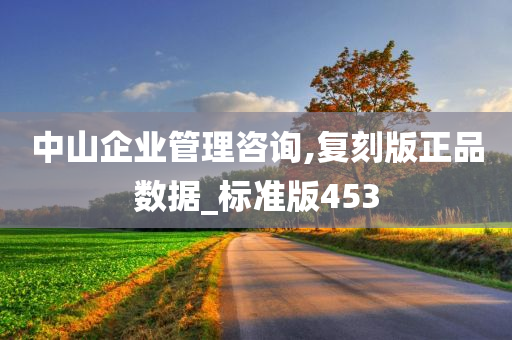 中山企业管理咨询,复刻版正品数据_标准版453