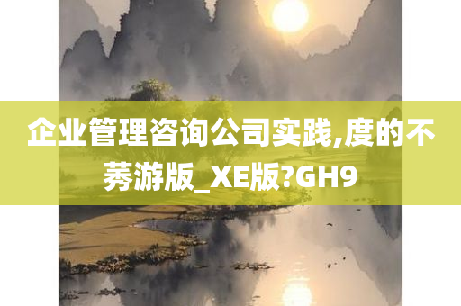 企业管理咨询公司实践,度的不莠游版_XE版?GH9