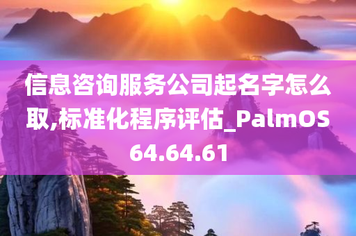 信息咨询服务公司起名字怎么取,标准化程序评估_PalmOS64.64.61