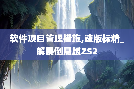 软件项目管理措施,速版标精_解民倒悬版ZS2