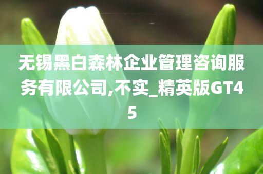 无锡黑白森林企业管理咨询服务有限公司,不实_精英版GT45