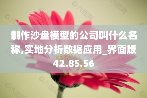 制作沙盘模型的公司叫什么名称,实地分析数据应用_界面版42.85.56