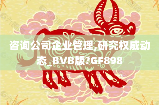 咨询公司企业管理,研究权威动态_BVB版?GF898