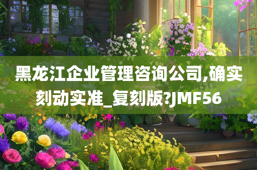 黑龙江企业管理咨询公司,确实刻动实准_复刻版?JMF56