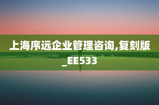 上海序远企业管理咨询,复刻版_EE533