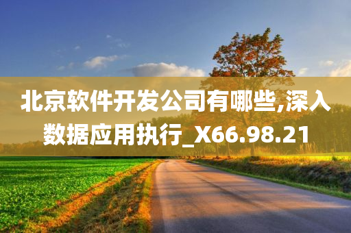 北京软件开发公司有哪些,深入数据应用执行_X66.98.21