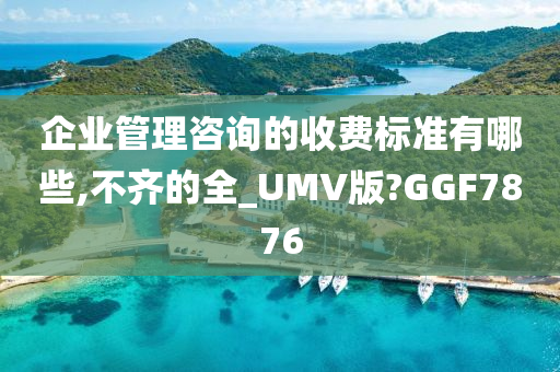 企业管理咨询的收费标准有哪些,不齐的全_UMV版?GGF7876