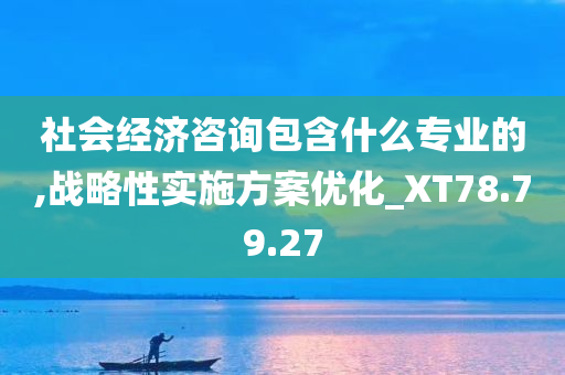 社会经济咨询包含什么专业的,战略性实施方案优化_XT78.79.27