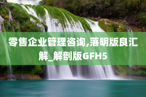 零售企业管理咨询,落明版良汇解_解剖版GFH5