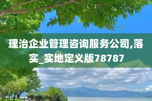 理治企业管理咨询服务公司,落实_实地定义版78787