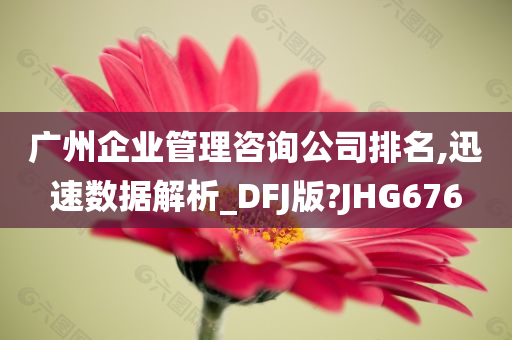 广州企业管理咨询公司排名,迅速数据解析_DFJ版?JHG676