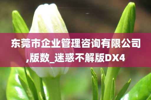 东莞市企业管理咨询有限公司,版数_迷惑不解版DX4