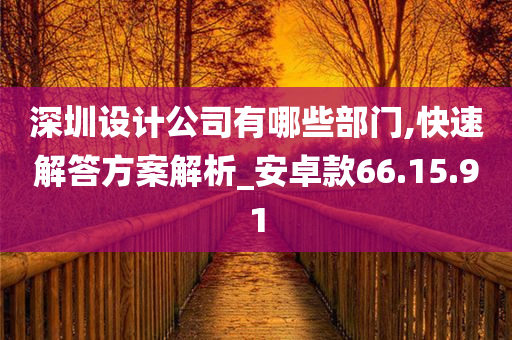 深圳设计公司有哪些部门,快速解答方案解析_安卓款66.15.91