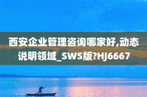 西安企业管理咨询哪家好,动态说明领域_SWS版?HJ6667