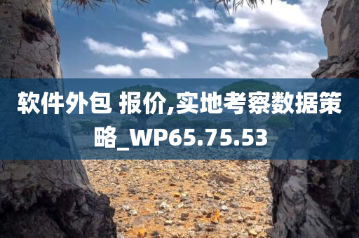 软件外包 报价,实地考察数据策略_WP65.75.53