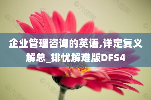 企业管理咨询的英语,详定复义解总_排忧解难版DFS4