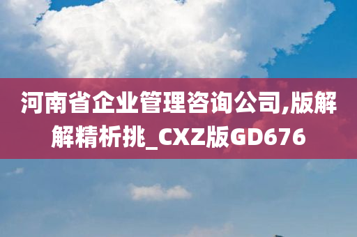 河南省企业管理咨询公司,版解解精析挑_CXZ版GD676