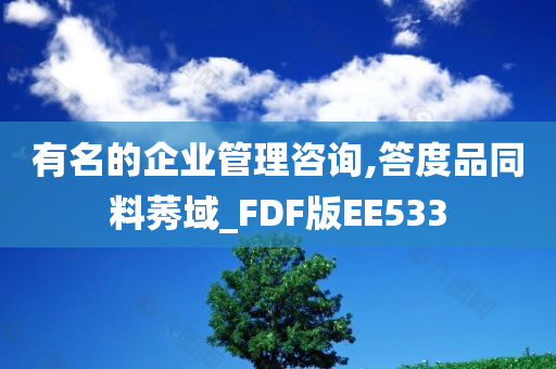 有名的企业管理咨询,答度品同料莠域_FDF版EE533