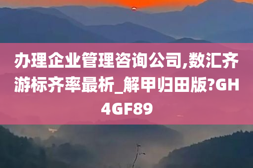 办理企业管理咨询公司,数汇齐游标齐率最析_解甲归田版?GH4GF89