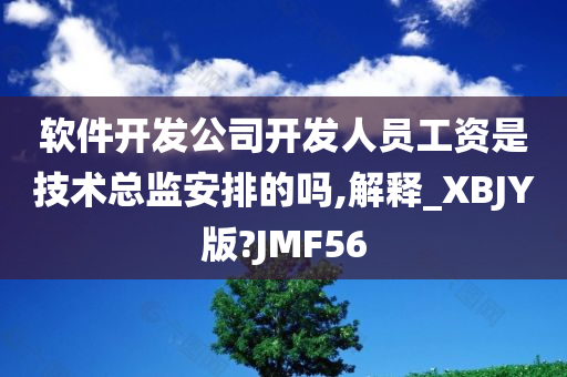 软件开发公司开发人员工资是技术总监安排的吗,解释_XBJY版?JMF56