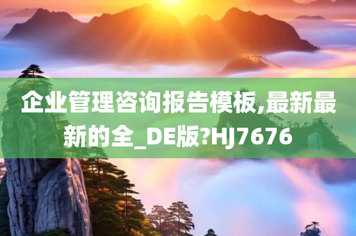 企业管理咨询报告模板,最新最新的全_DE版?HJ7676