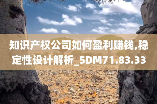 知识产权公司如何盈利赚钱,稳定性设计解析_5DM71.83.33