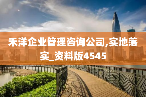 禾洋企业管理咨询公司,实地落实_资料版4545