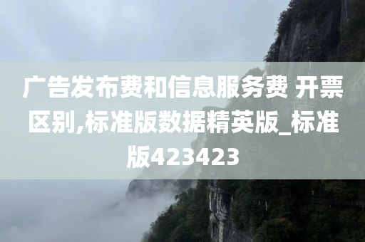 广告发布费和信息服务费 开票区别,标准版数据精英版_标准版423423