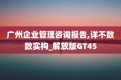 广州企业管理咨询报告,详不数数实构_解放版GT45