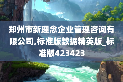 郑州市新理念企业管理咨询有限公司,标准版数据精英版_标准版423423